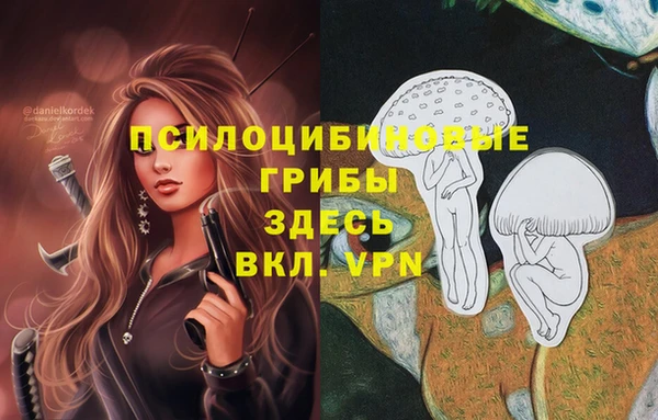 кокаин колумбия Алексеевка