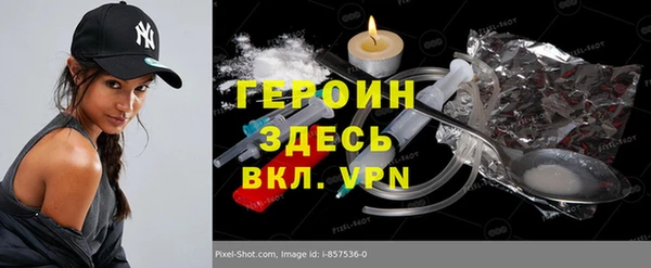 индика Алексин
