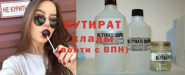 индика Алексин