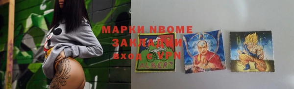 индика Алексин