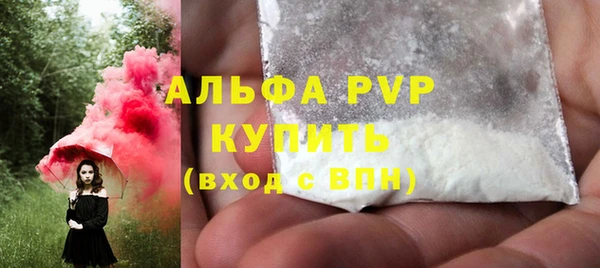 индика Алексин