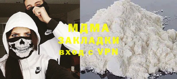 индика Алексин