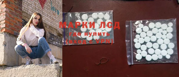 индика Алексин