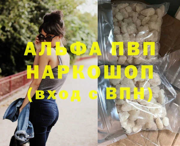 индика Алексин