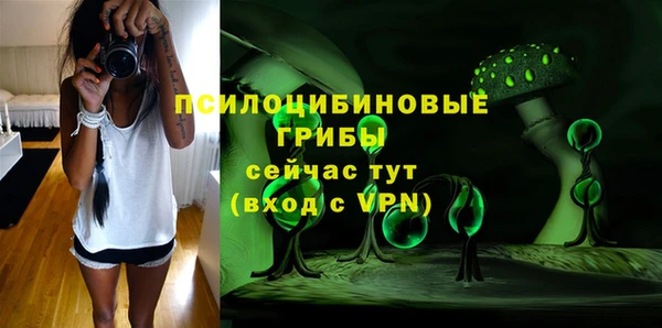 индика Алексин